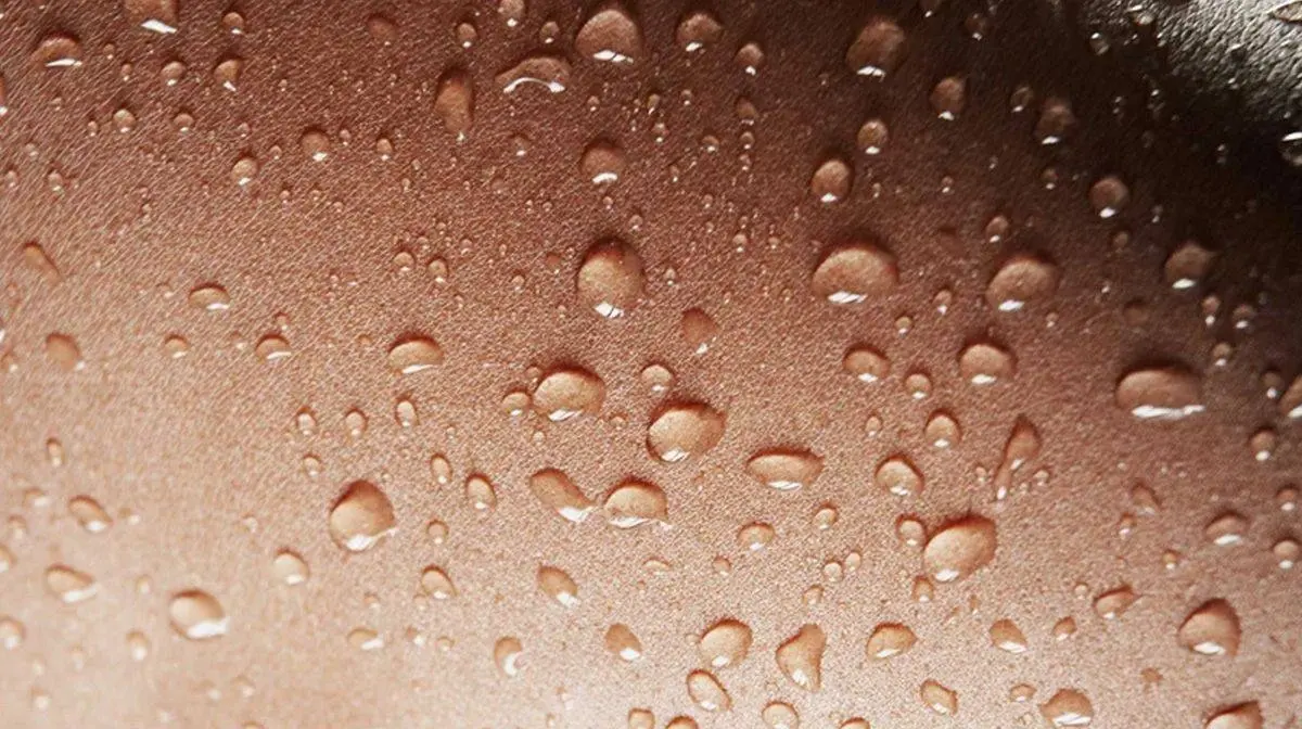 The power of fermentation
